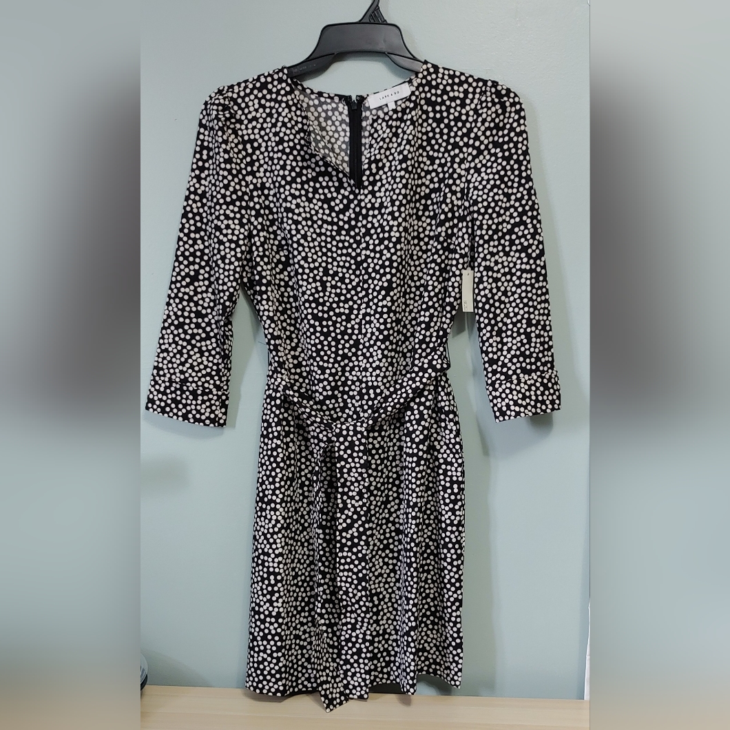 Lark & Ro Polka Dot Shift Dress Size 8 Nwt